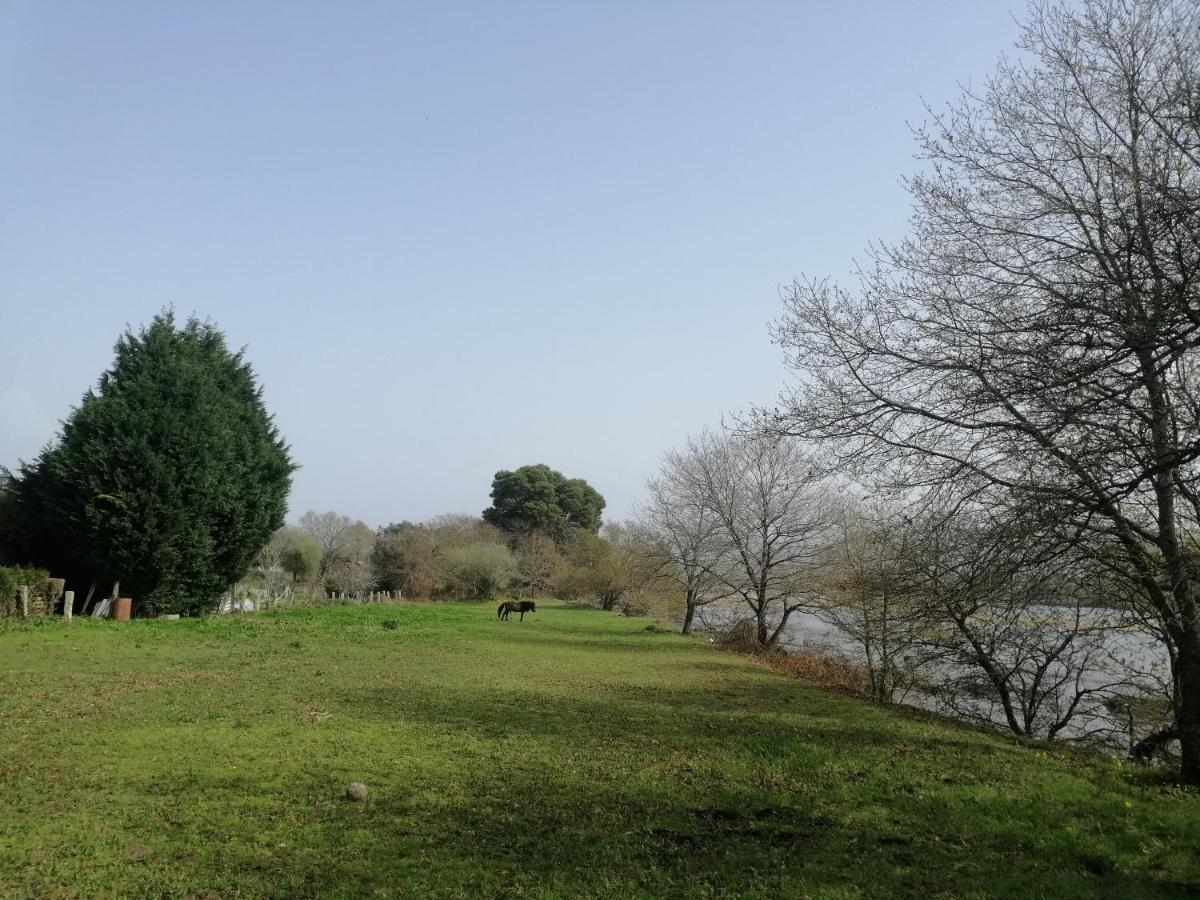 Royalheronhouse Βιάνα ντο Καστέλο Εξωτερικό φωτογραφία